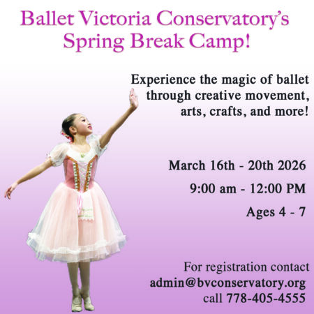 BVC Spring Break Camp